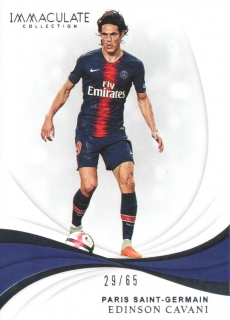 Edinson Cavani (PSG) /65